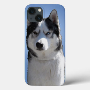 Husky Galaxy S3 Hoes Sledehond Husky Hoes