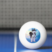 Husky Gifts & Accessoires Pingpongbal (Net)