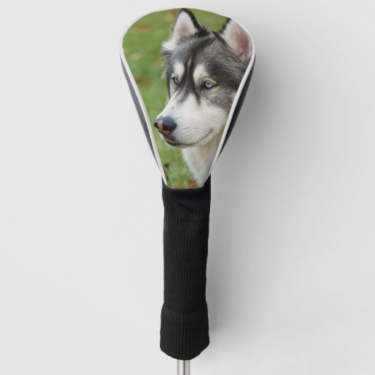 Husky Golfheadcover (Voorkant)