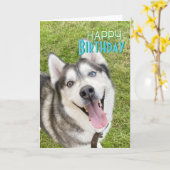 Husky Happy Birthday Card hond Kaart (Gele Bloem)
