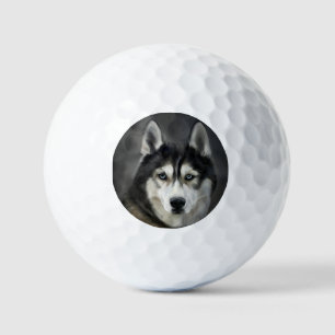 Husky Hond Grote Hond Dier Huisdier Golfballen