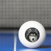 Husky Hond Grote Hond Dier Huisdier Pingpongbal (Net)