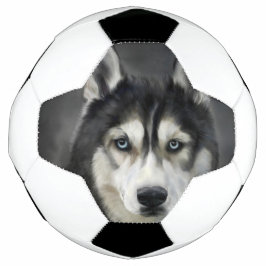 Husky Hond Grote Hond Dier Huisdier Voetbal