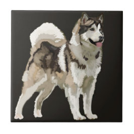Husky-hond keramiek foto tegel tegeltje