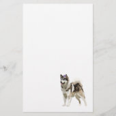 Husky hond met zonnebril Stationery Briefpapier (Voorkant)