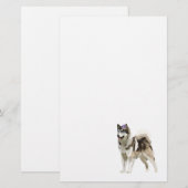 Husky hond met zonnebril Stationery Briefpapier (Voorkant / Achterkant)