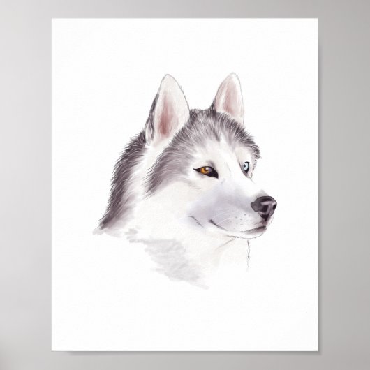 Husky-hond poster / dier posters (Voorkant)