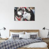 Husky hond voor een race, Canada Canvas Afdruk (Insitu (Slaapkamer))