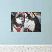 Husky hond voor een race, Canada Canvas Afdruk (Insitu (Houten vloer))