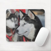 Husky hond voor een race, Canada Muismat (Met muis)