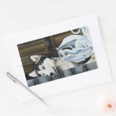 Husky Hond Witte Draak Avontuur Rechthoekige Sticker (Envelop)