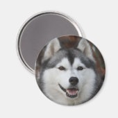 Husky hondenmagneet magneet (Voorkant / Achterkant)