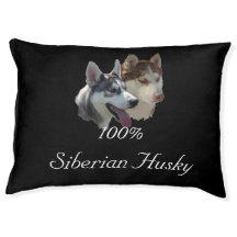 Husky Hunde Text 100% Siberian Husky