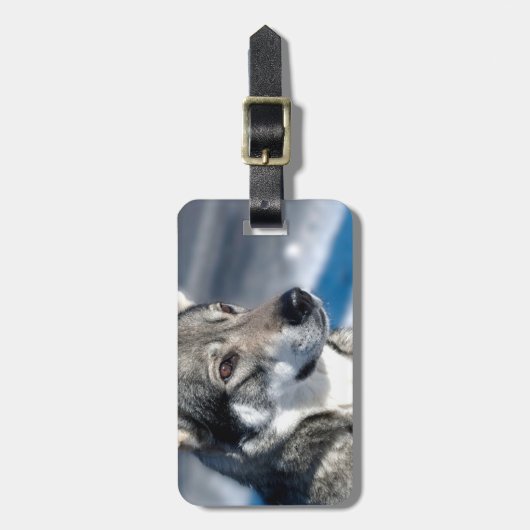 Husky in het Bagagelabel Snow (Voorkant verticaal)