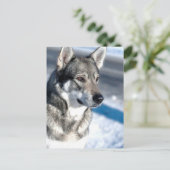 Husky in het Briefkaart Snow (Staand voorkant)
