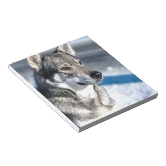 Husky in het Notitieblok Snow (Schuin)