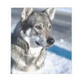 Husky in het Notitieblok Snow (Voorkant)