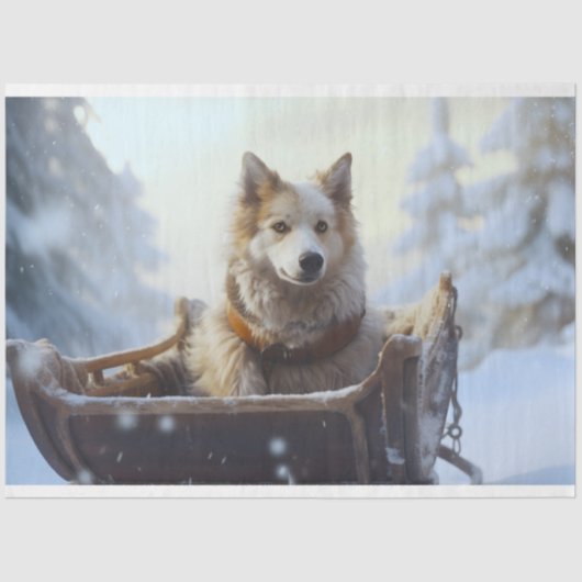 Husky in Sleigh 1 Decoupage papier (Voorkant)