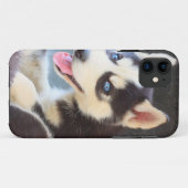 Husky iPhone 5 hoesje (Achterkant (horizontaal))