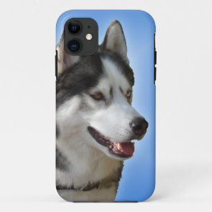Husky iPhone 5 Hoesje Siberian Husky Malamute Hoes