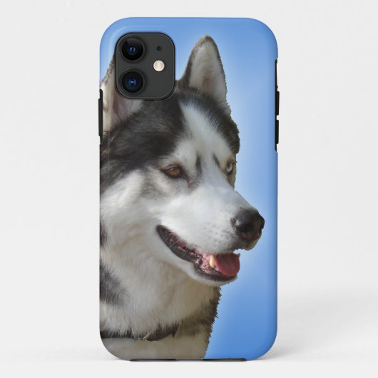 Husky iPhone 5 Hoesje Siberian Husky Malamute Hoes (Achterkant)