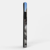 Husky iPhone 5 Hoesje Siberian Husky Malamute Hoes (Achterkant/rechts)