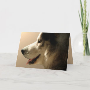 Husky Kaart Alaskan Malamute Kaart gepersonaliseer