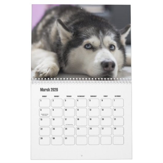 Husky-kalender Kalender (Mar 2026)