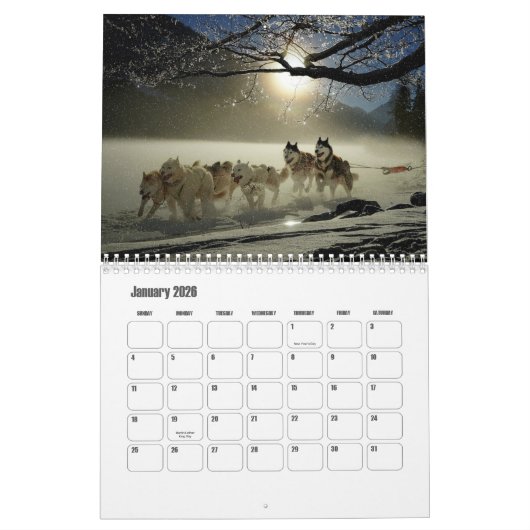 Husky-kalender Kalender (Jan 2026)