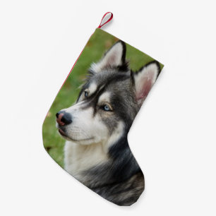 Husky Kleine Kerstsok