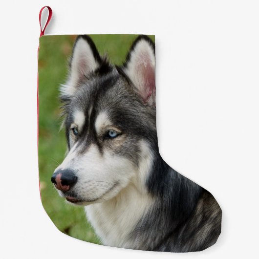Husky Kleine Kerstsok (Voorkant)