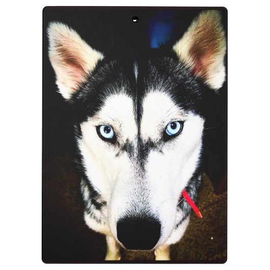 Husky Klembord (Achterkant)