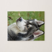 Husky Legpuzzel (Horizontaal)
