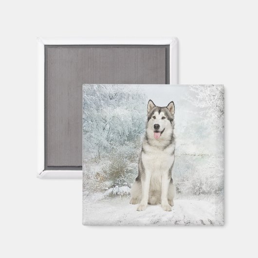 Husky Magnet (Voorkant / Achterkant)