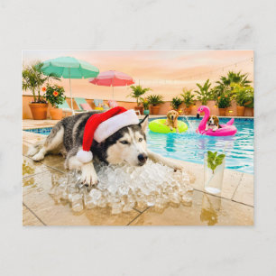 Husky op rotsen met Kerstmis Briefkaart