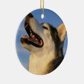 Husky Ornament (Rechts)