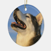 Husky Ornament (Links)
