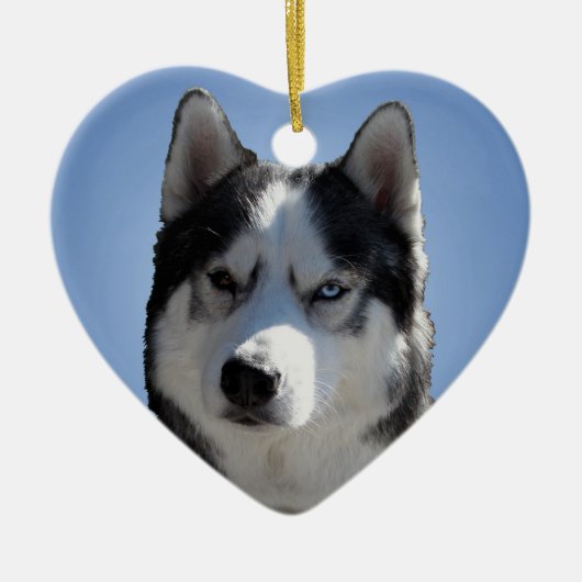 Husky Ornament Personalized Sled Dog Decoration (Voorkant)