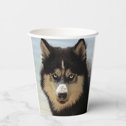 Husky Papieren Bekers (Achterkant)