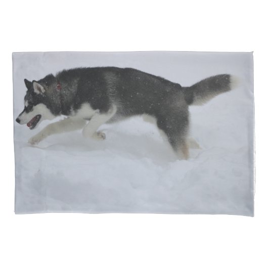 Husky Pillow Hoesje Kussensloop (Voorkant)