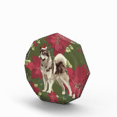 Husky, Poinsettia Flowers Fotoblokken (Rechts)