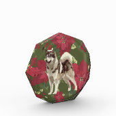 Husky, Poinsettia Flowers Fotoblokken (Links)