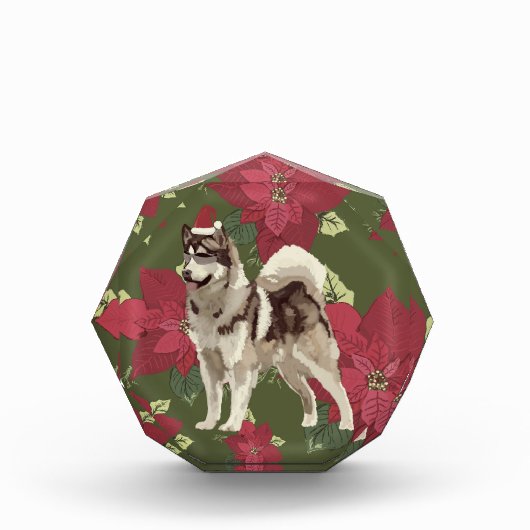 Husky, Poinsettia Flowers Fotoblokken (Voorkant)