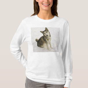 Husky Pose T-shirt