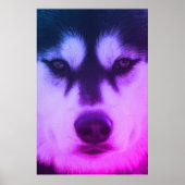 Husky Poster (Voorkant)