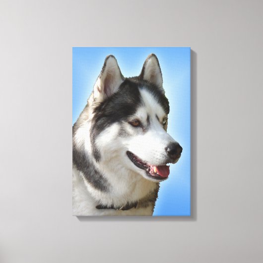 Husky Print Stretched Husky Malamute Dog Canvas (Voorkant)