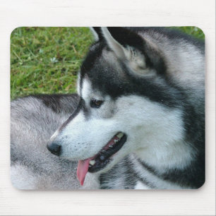 Husky Profile Muismat