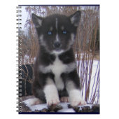 Husky Pup Notitieboek (Voorkant)