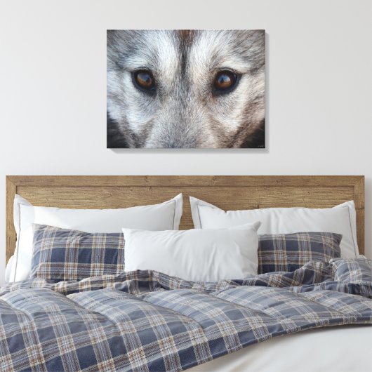 Husky Pup Print Husky Wolf Pup Canvas (Insitu (Slaapkamer))