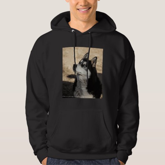 Husky Pup Scoop Hoodie (Voorkant)